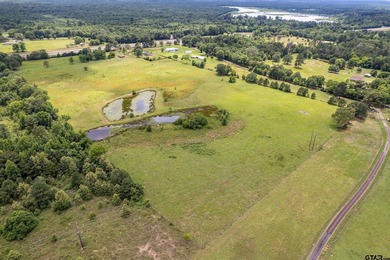 Escape the city life to the tranquility of East Texas with this - photo 27