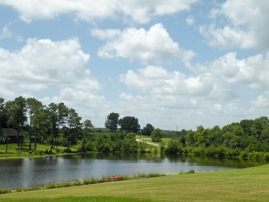 Great new home site on the lake - photo 27