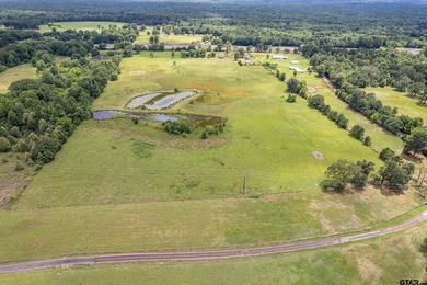 Escape the city life to the tranquility of East Texas with this - photo 28