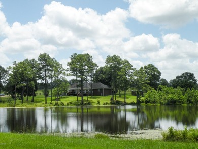 Great new home site on the lake - photo 28
