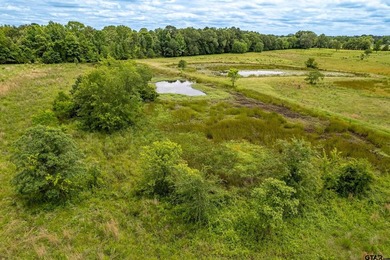 Escape the city life to the tranquility of East Texas with this - photo 30