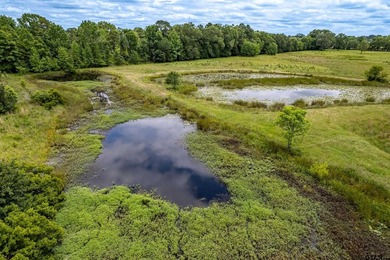 Escape the city life to the tranquility of East Texas with this - photo 31