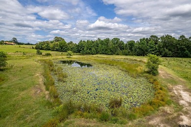 Escape the city life to the tranquility of East Texas with this - photo 32