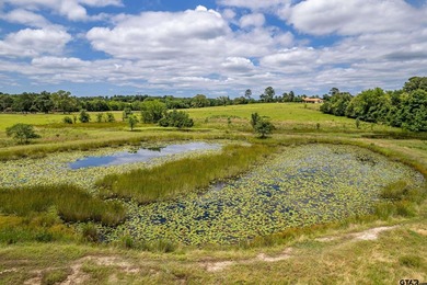 Escape the city life to the tranquility of East Texas with this - photo 33