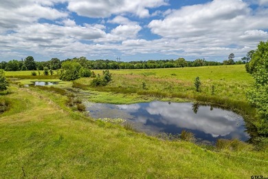 Escape the city life to the tranquility of East Texas with this - photo 34