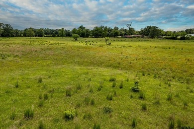 Escape the city life to the tranquility of East Texas with this - photo 35