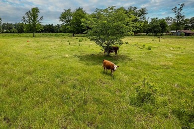 Escape the city life to the tranquility of East Texas with this - photo 36