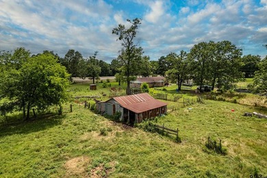 Escape the city life to the tranquility of East Texas with this - photo 37