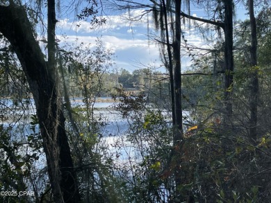 Dunford Lake Lot For Sale in Chipley Florida