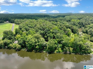 Experience riverfront living at its finest with this beautiful - photo 43