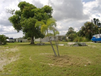 Large, cleared lot located in Flamingo Bay community ready for - photo 3