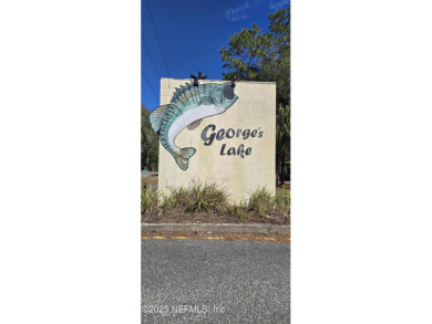 Lake Lot For Sale in Florahome, Florida