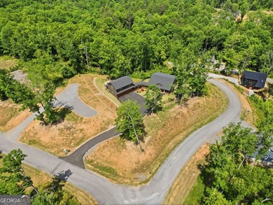 Experience mountain living at its finest in this stunning custom - photo 1