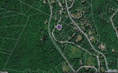 Build Your Waterfront Forever Home: 5.10 Picturesque Acres along - photo 15