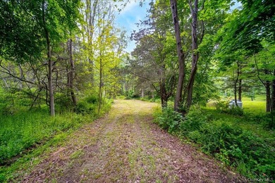 Build Your Waterfront Forever Home: 5.10 Picturesque Acres along - photo 17