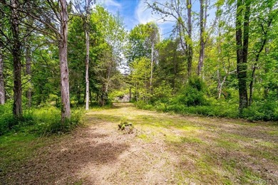 Build Your Waterfront Forever Home: 5.10 Picturesque Acres along - photo 19