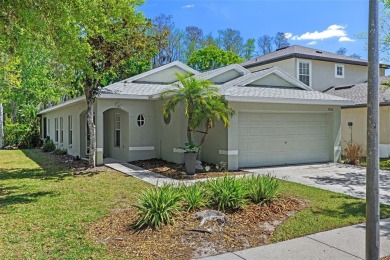 Lake Home Sale Pending in Land O Lakes, Florida