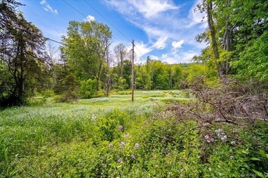 Build Your Waterfront Forever Home: 5.10 Picturesque Acres along - photo 21