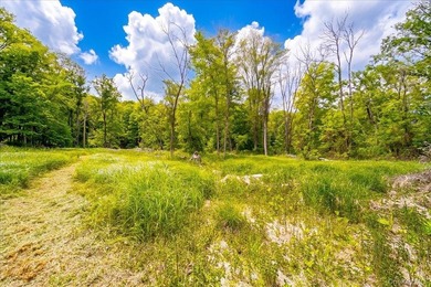Build Your Waterfront Forever Home: 5.10 Picturesque Acres along - photo 23