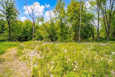Build Your Waterfront Forever Home: 5.10 Picturesque Acres along - photo 24