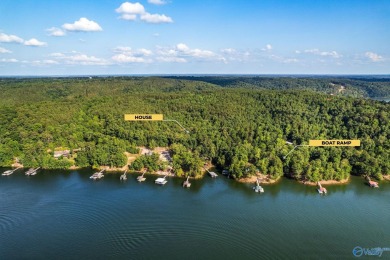 Lewis Smith Lake Home For Sale in Crane Hill Alabama