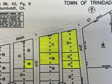Trinidad RV and Mobile Park with 32 spaces plus 4 homes and a - photo 3
