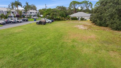 Lake Grassy Lot For Sale in Lake Placid Florida