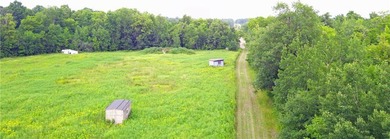 Mille Lacs Lake Commercial For Sale in East Side Twp Minnesota