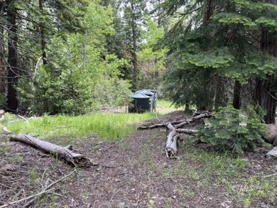 The main A-frame house and two smaller A-frame cabins over - photo 16