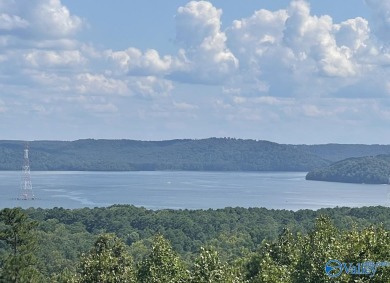 Lake Acreage For Sale in Scottsboro, Alabama