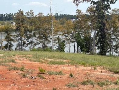 Lake Lot For Sale in Florien, Louisiana