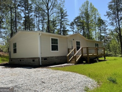 Lake Home For Sale in Martin, Georgia