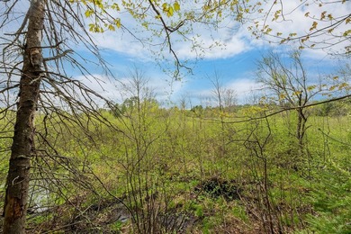 Ready, set, build! This 1.37-acre parcel is primed for your - photo 11