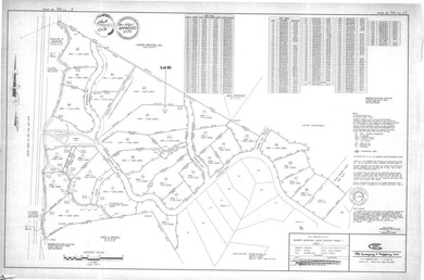Looking for a beautiful homesite with mountain views? This 2 - photo 12