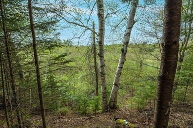 Ready, set, build! This 1.37-acre parcel is primed for your - photo 12