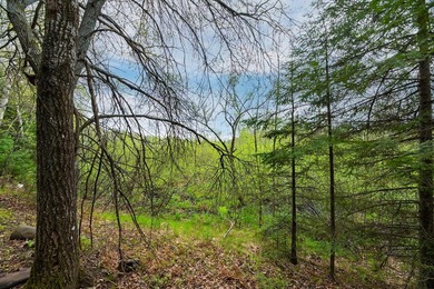 Ready, set, build! This 1.37-acre parcel is primed for your - photo 13