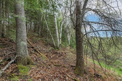 Ready, set, build! This 1.37-acre parcel is primed for your - photo 14