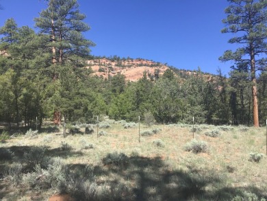 Ramah Reservoir Acreage For Sale in Ramah New Mexico