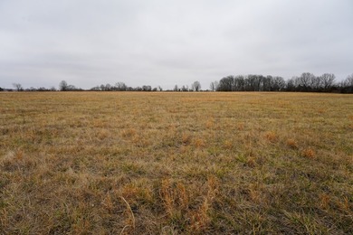 The Fuqua Farm, located in a highly desirable area of Greene - photo 5