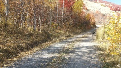 Rarely does a property check every box for the serious Bear Lake - photo 5