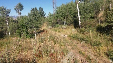 Rarely does a property check every box for the serious Bear Lake - photo 6