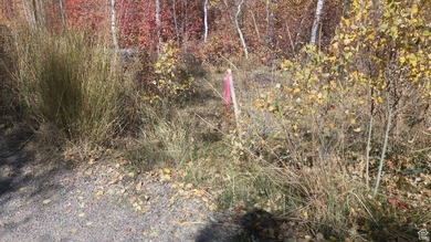 Rarely does a property check every box for the serious Bear Lake - photo 8