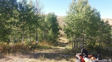 Rarely does a property check every box for the serious Bear Lake - photo 9