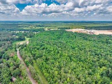 A Once-in-a-Generation, Entitled 880-Acre Development - Ready - photo 4