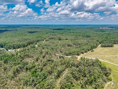A Once-in-a-Generation, Entitled 880-Acre Development - Ready - photo 7