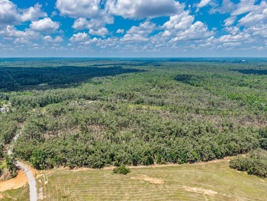 A Once-in-a-Generation, Entitled 880-Acre Development - Ready - photo 8