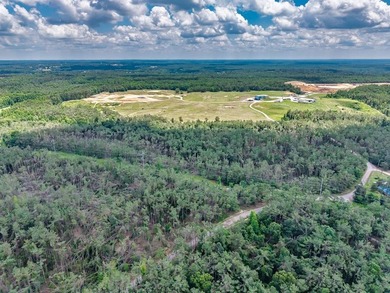 A Once-in-a-Generation, Entitled 880-Acre Development - Ready - photo 10