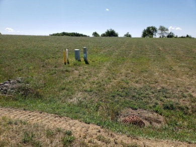 Property to build your home with the best view of Vineyard Lake - photo 5