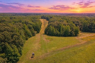 Turn-key hunting camp west of Como! This 177 contiguous acre - photo 1