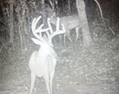 Turn-key hunting camp west of Como! This 177 contiguous acre - photo 5